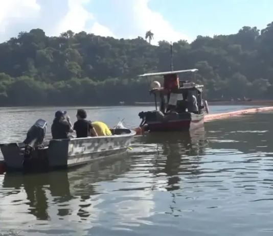 Projeto usa cabelos descartados por salões para ajudar na despoluição da Baía de Guanabara