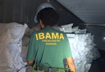 Ibama multa em R$ 50 milhões empresa que exportaria ilegalmente 17 toneladas de barbatanas de tubarão