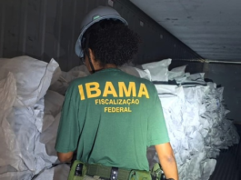 Ibama multa em R$ 50 milhões empresa que exportaria ilegalmente 17 toneladas de barbatanas de tubarão