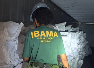 Ibama multa em R$ 50 milhões empresa que exportaria ilegalmente 17 toneladas de barbatanas de tubarão