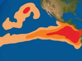 El Niño e impactos no Brasil: veja como será outubro pelo país