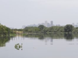 GAEMA/MPRJ obtém decisão que obriga Município do Rio a exigir estudos climáticos em licenciamentos ambientais
